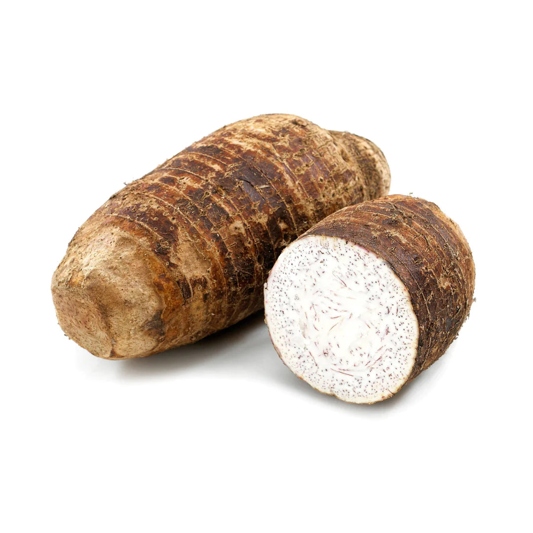 MALANGA COCO